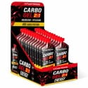 CARBO GEL 2:1