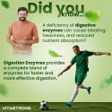 DIGESTION ENZYMES