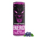 VITASTRONG ENERGY X1 BERRIES