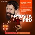 PROSTA PRO