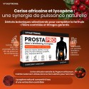 PROSTA PRO