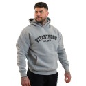COLLEGE HOODIE DARK GREY