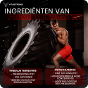 TESTOBOOSTER