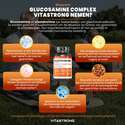 GLUCOSAMINE