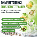 DIGESTION ENZYMES
