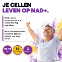 TRANS-RESVERATROL & NAD+