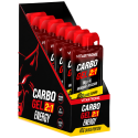 CARBO GEL 2:1